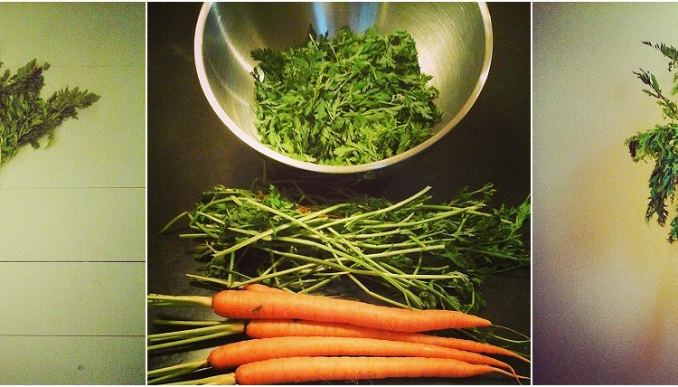 carrot compost recipe