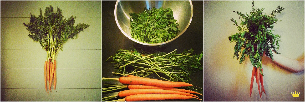 Carrot Compost