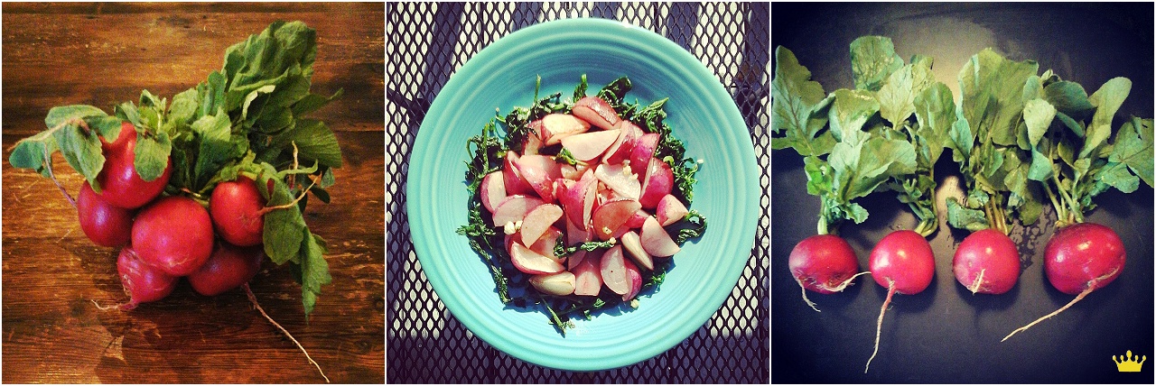 Not so repellent radishes Not so repellent radishes